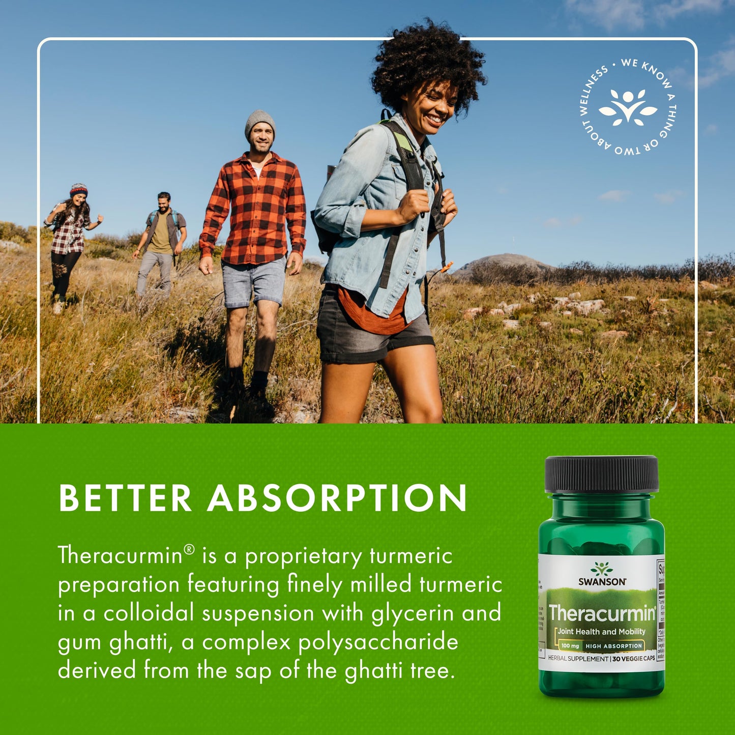 Swanson Theracurmin - Joint Health & Mobility Support, High Absorption Turmeric 100mg - 30 Capsules (4 Pack)