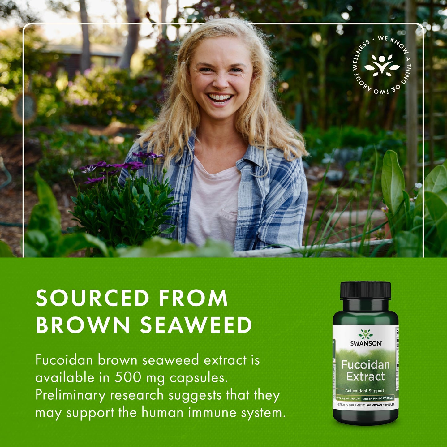 Swanson Fucoidan Extract – Immune Support, 60 Veggie Capsules, 500mg