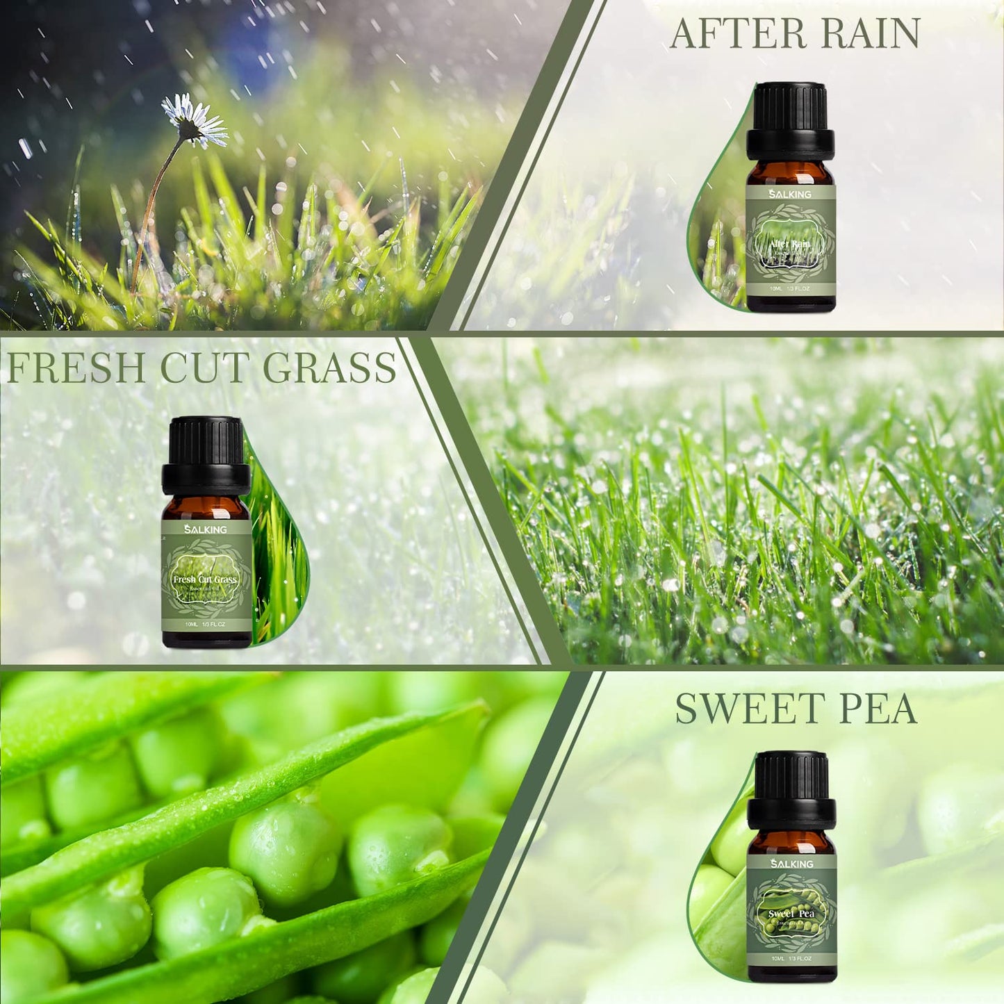 SALKING Spring Fragrance Oils Set | Premium Essential Oils Gift for Diffuser, Soap & Candle Making