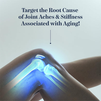 Synocell Glucosamine Chondroitin Complex – Joint Support with Boswellia, MSM & Quercetin