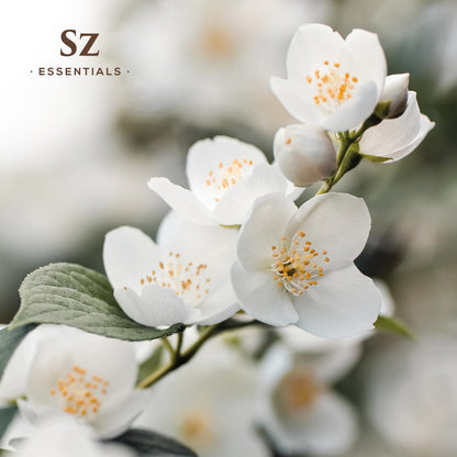 Sz Essentials Jasmine Absolute Essential Oil – Pure 0.17oz (5mL) – 4 Jasminum Species