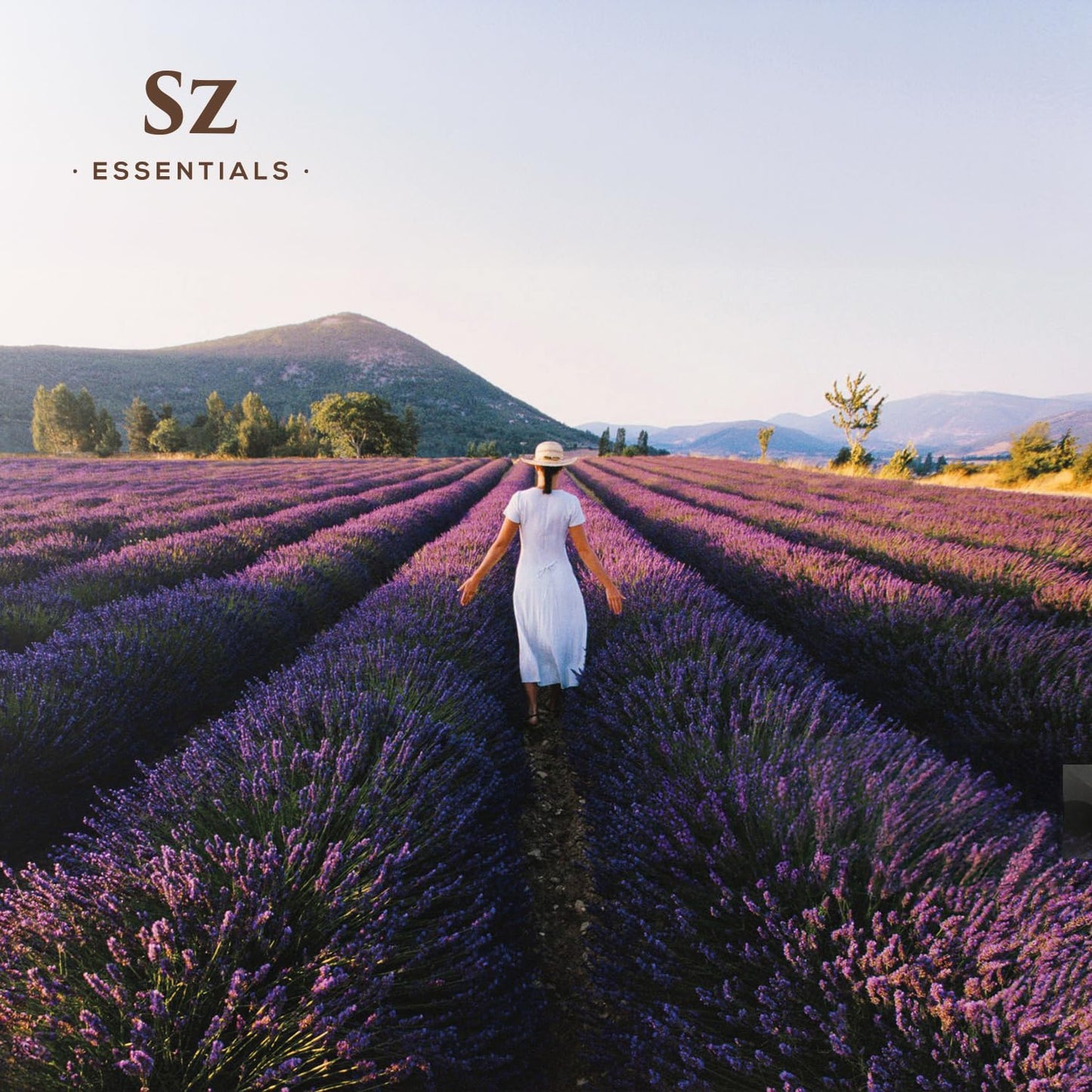 Sz Essentials Kashmir Lavender Essential Oil – 100% Pure & Undiluted (0.22 fl oz / 6.5 mL)