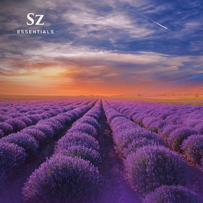 Sz Essentials Kashmir Lavender Essential Oil – 100% Pure & Undiluted (0.22 fl oz / 6.5 mL)