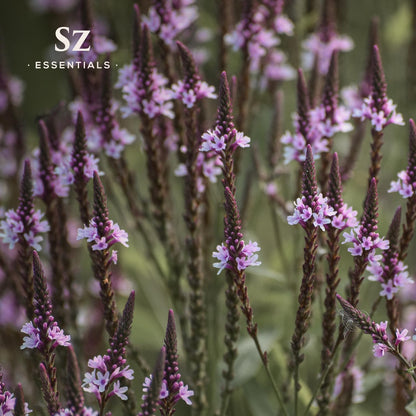 Sz Essentials Vervain Oil | Vegan, Spiritual Protection & Magick