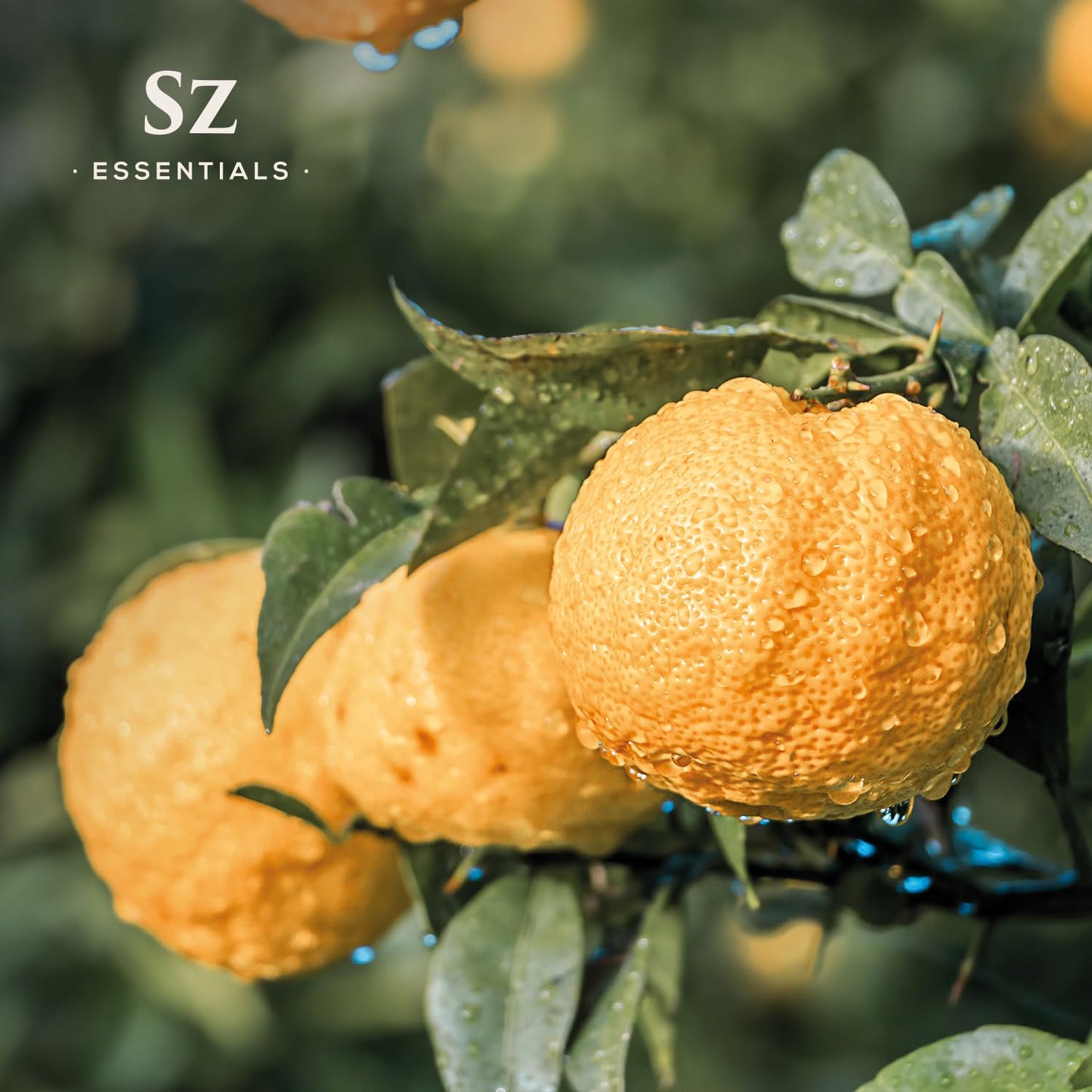 Sz Essentials Yuzu Essential Oil – 100% Pure & Natural, Japan, 5ml