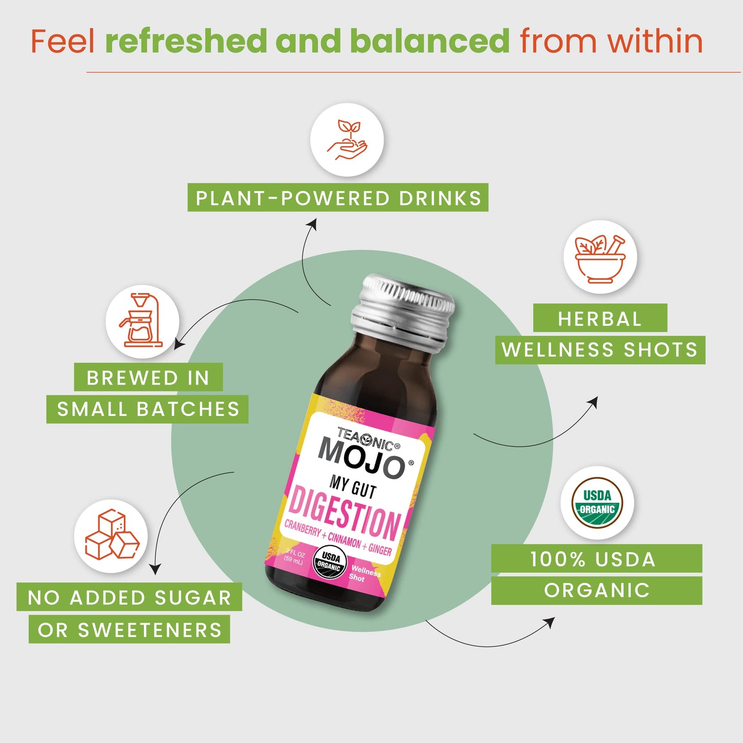 TEAONIC My Gut Mojo: Digestive Detox Drinks – Cranberry, Ginger, Cinnamon | USDA-Certified, Sugar-Free, Caffeine-Free | 12 x 2oz Bottles