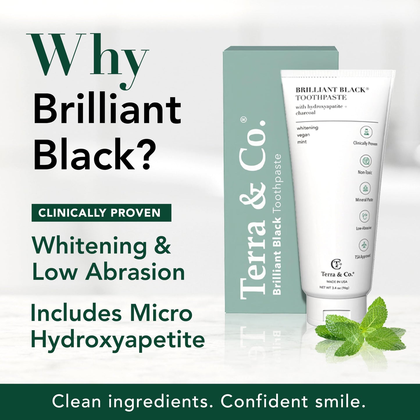 Terra & Co. Brilliant Black Hydroxyapatite Toothpaste for Whitening Teeth – USA-Made, Fluoride-Free, Vegan, SLS-Free, Low Abrasion – Mint, 3.4 oz