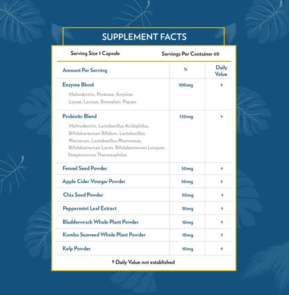 TERRA ORIGIN Digestive Enzymes with Probiotics & Prebiotics | 60 Caps