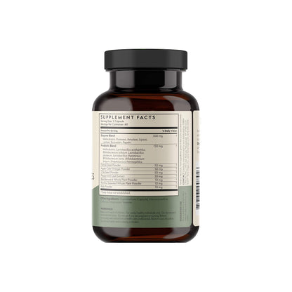TERRA ORIGIN Digestive Enzymes with Probiotics & Prebiotics | 60 Caps
