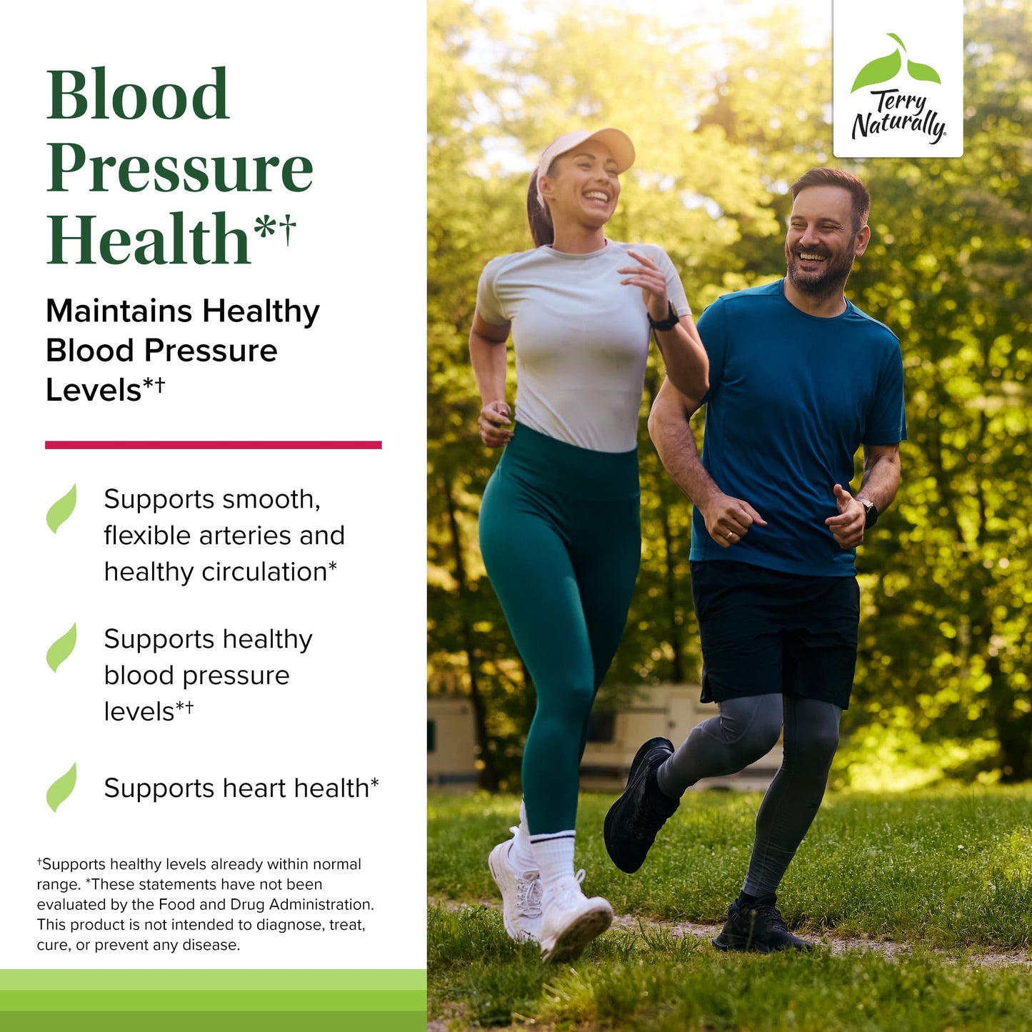 Terry Naturally Blood Pressure Health – Blood Flow & Circulation Support