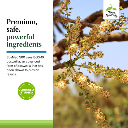 Terry Naturally BosMed 500 – Boswellia Serrata Extract Supplement for Everyday Wellness | 60 Softgels
