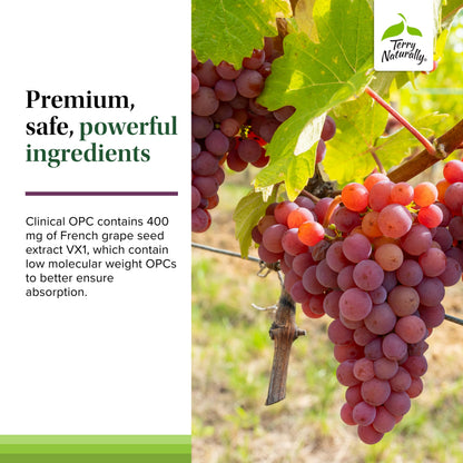 Terry Naturally Clinical OPC Extra Strength – Cardiovascular Health, Immunity & Focus Support | Grape Seed Extract, 60 Softgels