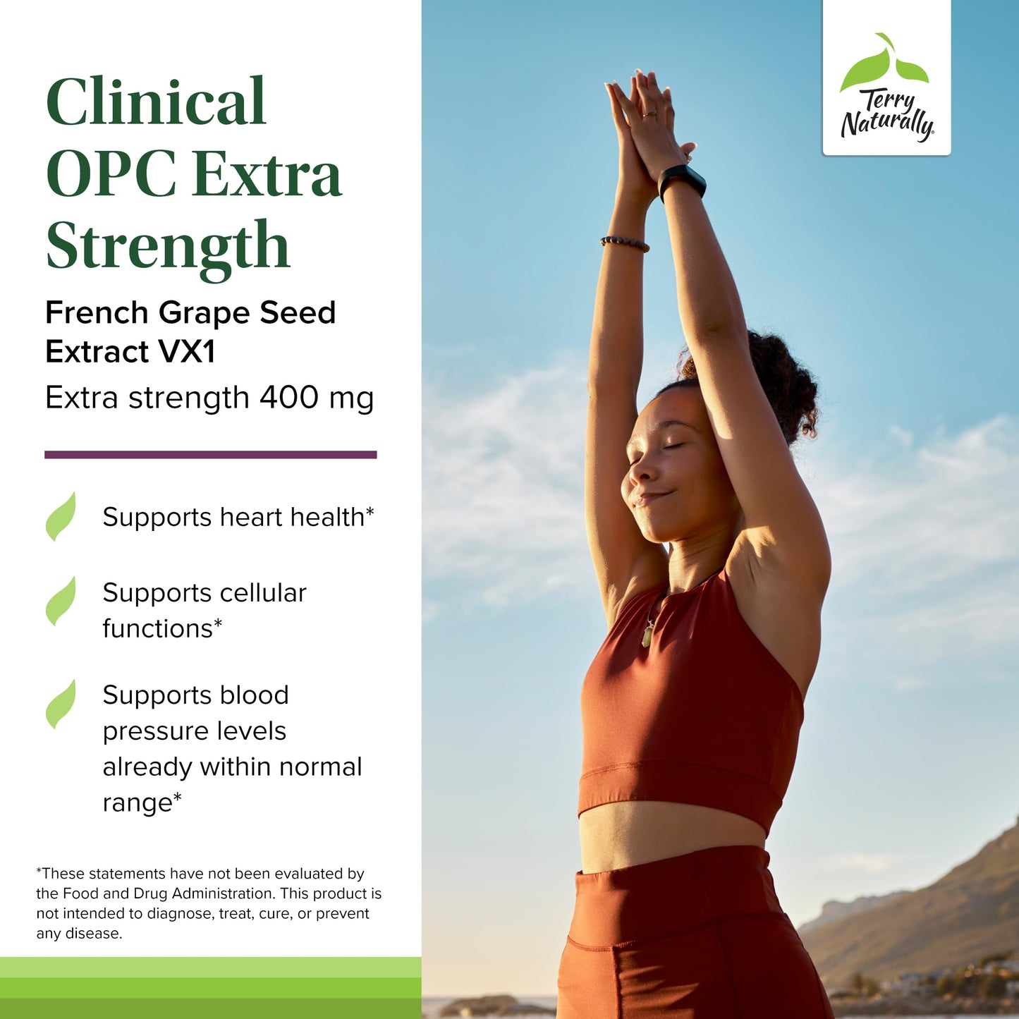Terry Naturally Clinical OPC Extra Strength – Cardiovascular Health, Focus & Immune Support, Grape Seed Extract, 60 Softgels (Pack of 3)