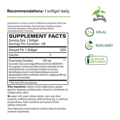 Terry Naturally CuraMed 375mg – Antioxidant Curcumin Turmeric for Brain & Immune Health (Pack of 3, 120 Softgels)
