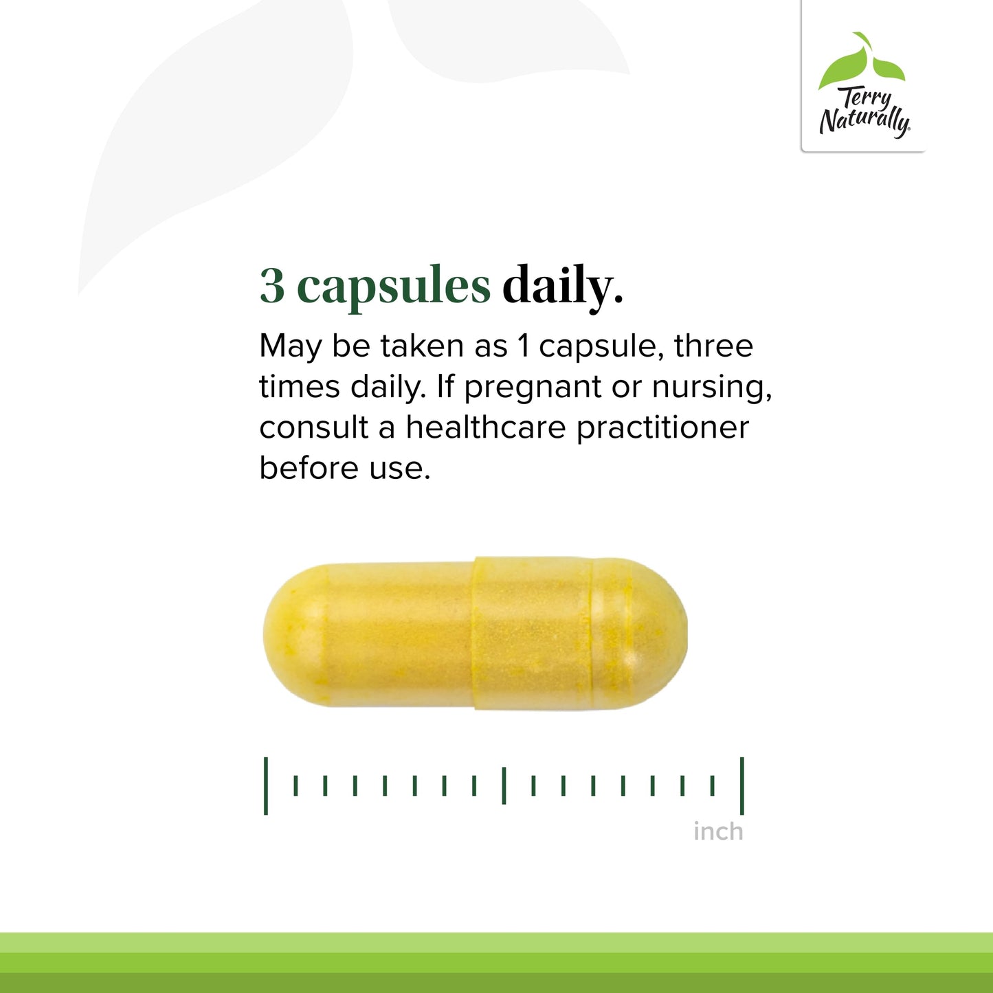 Terry Naturally Curamin - Curcumin with Boswellia, DLPA & Nattokinase - 90 Vegan Capsules