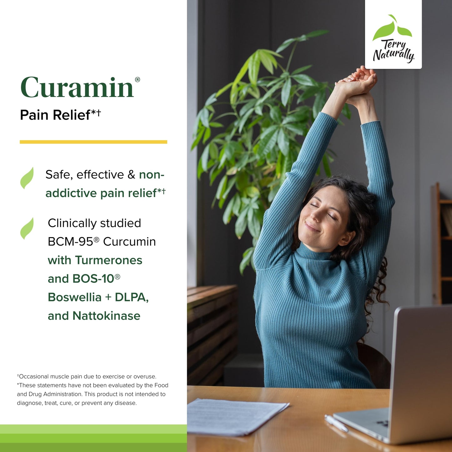 Terry Naturally Curamin - Curcumin with Boswellia, DLPA & Nattokinase - 90 Vegan Capsules