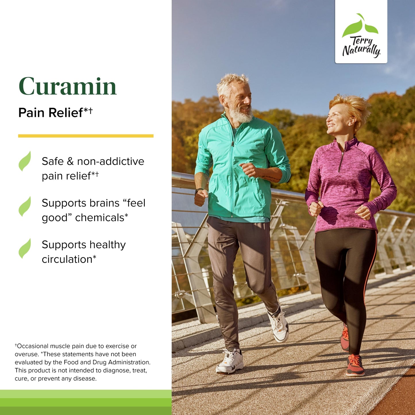 Terry Naturally Curamin – Curcumin for Circulation & Endorphin Support – 120 Capsules