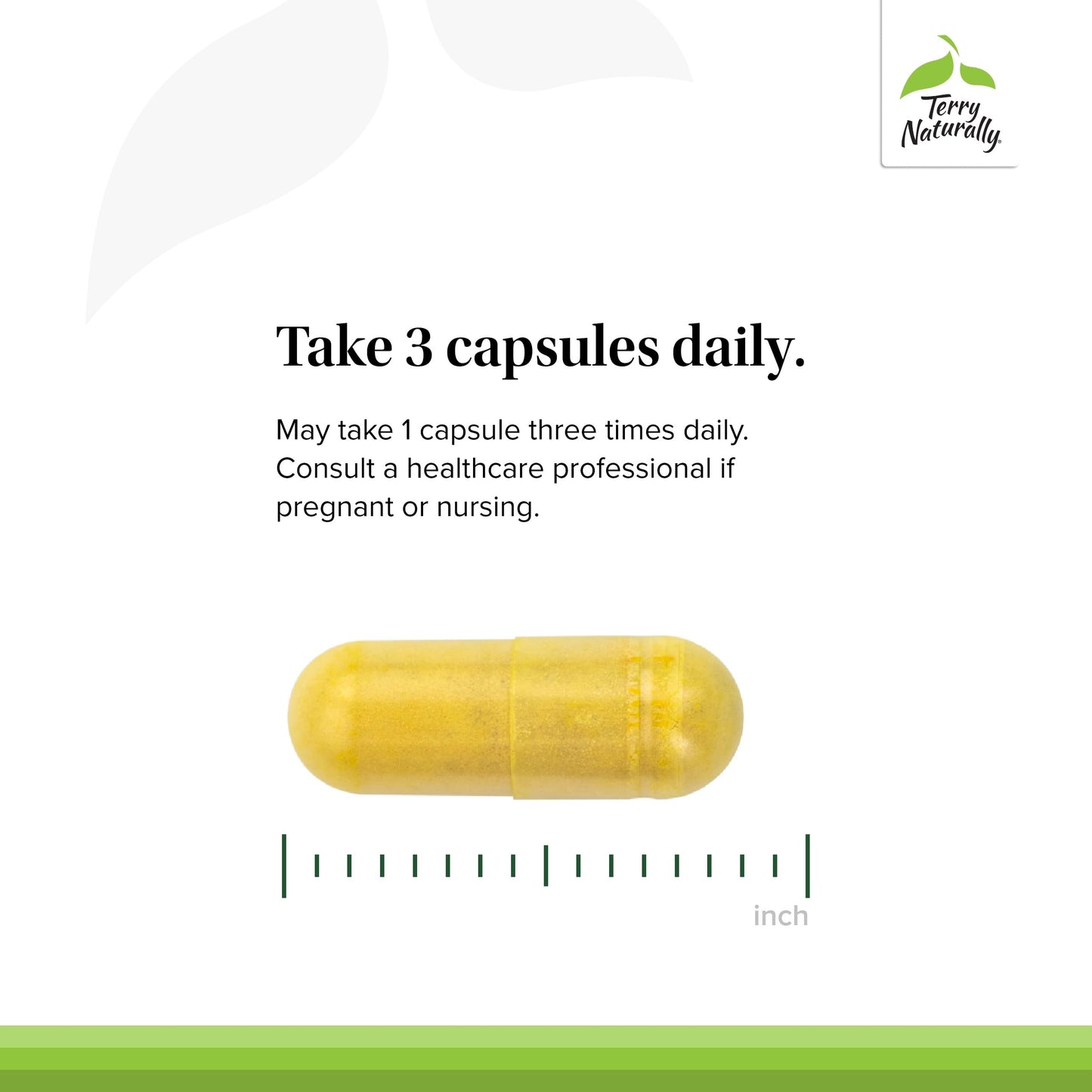 Terry Naturally Curamin Low Back Pain Relief – 60 Capsules (20 Servings) | Curcumin, Boswellia & DLPA | Non-GMO, Vegan, Gluten Free