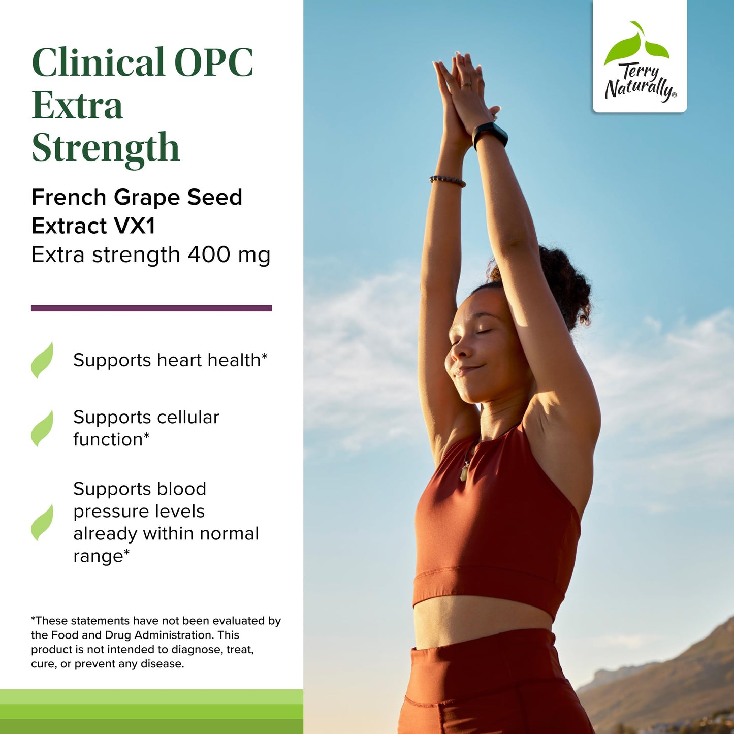Terry Naturally Clinical OPC Extra Strength – Cardiovascular Health, Immunity & Focus Support | Grape Seed Extract, 60 Softgels
