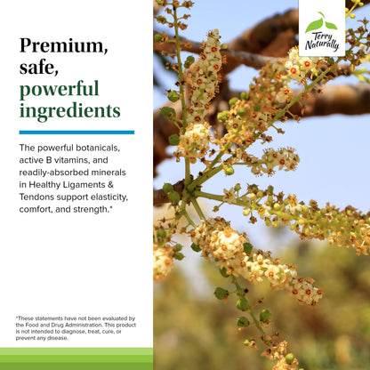 Terry Naturally Healthy Ligaments & Tendons - Non-GMO Dietary Supplement