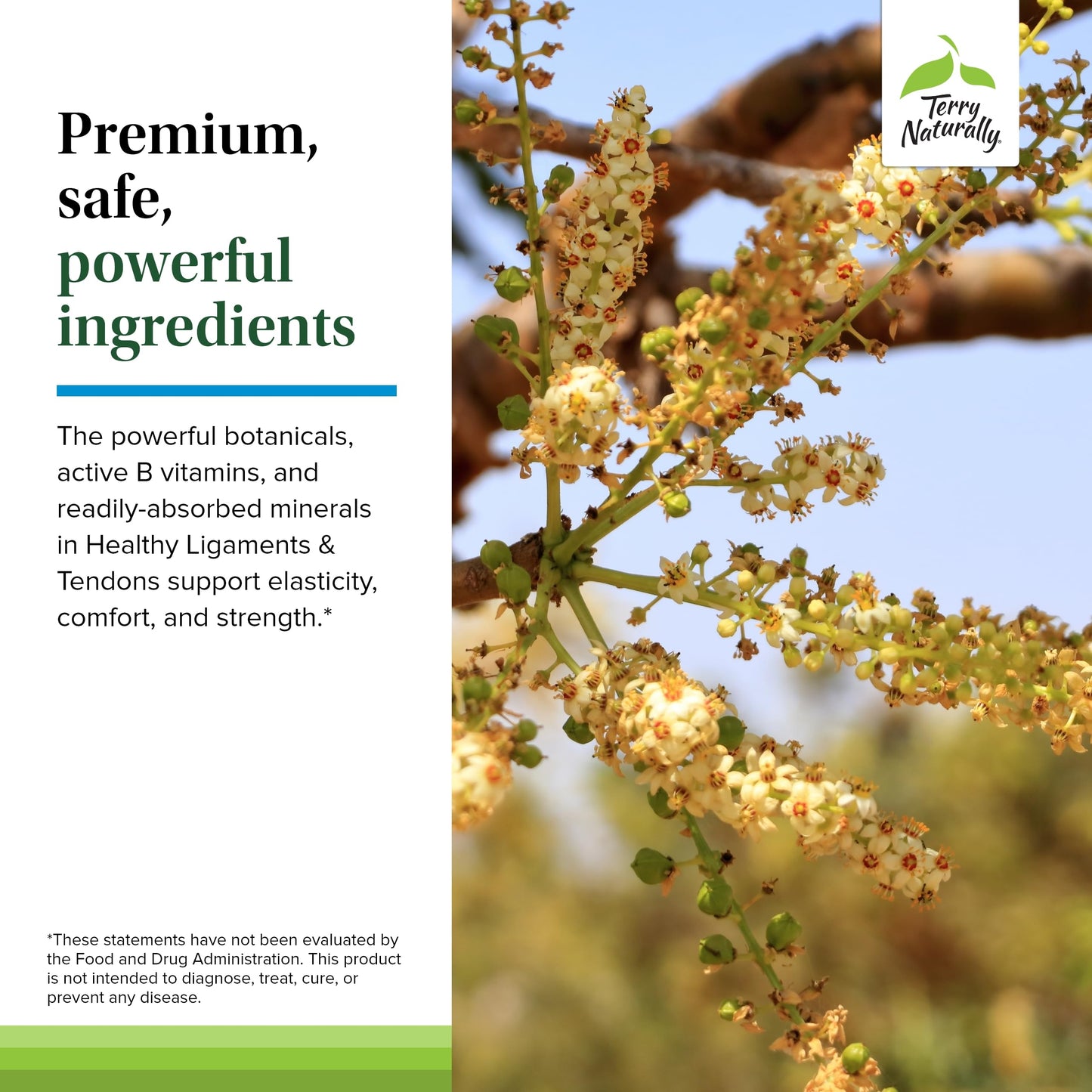 Terry Naturally Healthy Ligaments & Tendons - Non-GMO Dietary Supplement