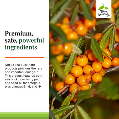 Terry Naturally Omega-7 with Sea Buckthorn – Skin Health Support | 60 Softgels (Pack of 2)