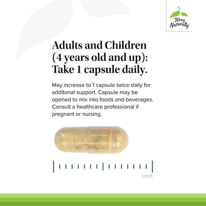 Terry Naturally Propolis EP300 - Immune & Upper Respiratory Support for Child & Adult | 60 Capsules, 2-Pack