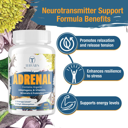 Tervaies Adrenal Support Adaptogen Supplements – Rhodiola, Ashwagandha, Holy Basil & Eleuthero | 120 Vegan Tablets