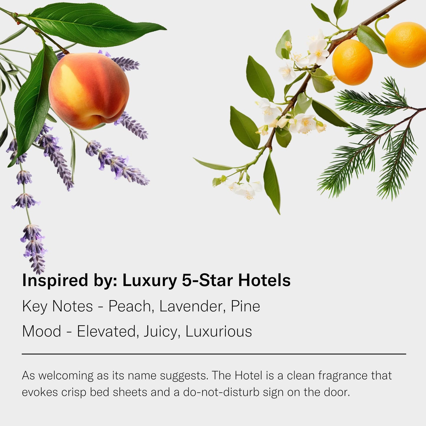 AromaTech The Hotel Essential Oil Blend – Luxury Hotel Inspired Aromatherapy (16 oz / 500 mL)