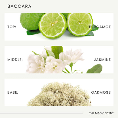 Baccara Diffuser Oil - Luxury Hotel & Home Scents Inspired by Baccarat Rouge