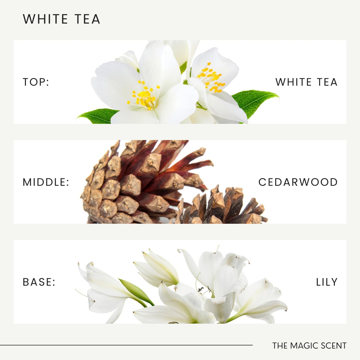 The Magic Scent White Tea Diffuser Oil | Hotel & Home Luxury Scents | 500 mL (16.9 fl oz)