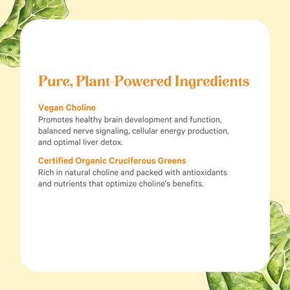 PURE SYNERGY Choline Complex | Vegan Organic Choline Supplement (60 Tablets)