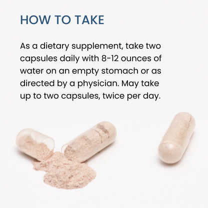 The Wellness Company Spike Support | Nattokinase, Dandelion Root & Black Sativa – 60ct