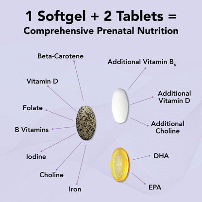 Theralogix TheraNatal Complete Prenatal Vitamin – 91-Day Supply, NSF Certified