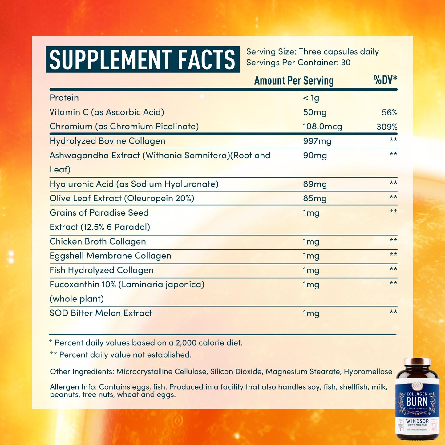 Thermogenic Multi Collagen Burn Capsules – 2-Pack, 180 Pills | Hyaluronic Acid, Marine Collagen & Vitamin C