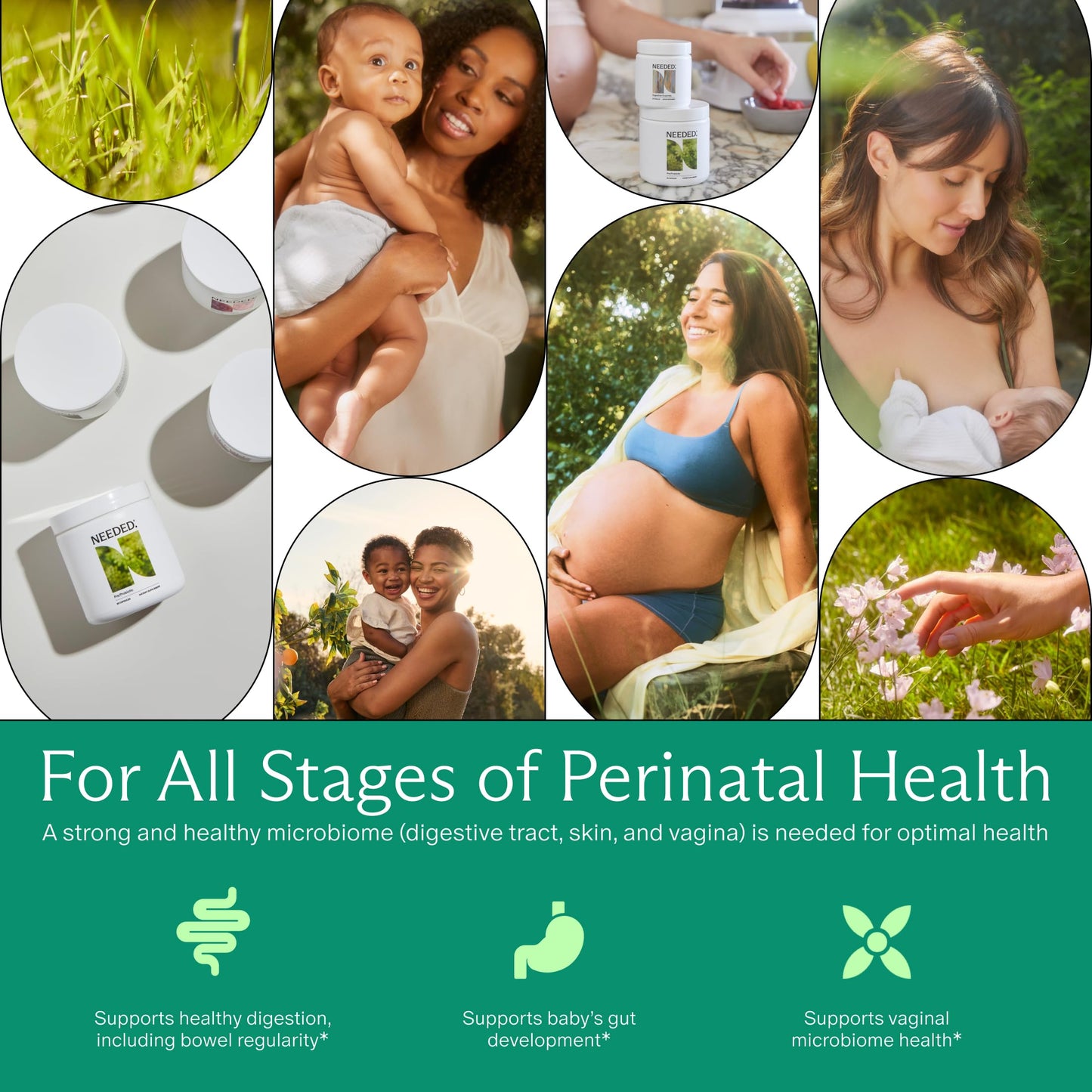 Needed Balance Prenatal Prebiotic & Probiotic — 60 Capsules