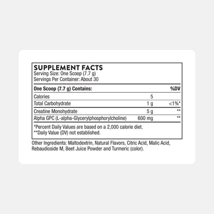 THORNE Creatine + Alpha GPC – Watermelon Lemonade, 30 Servings | NSF Certified for Sport