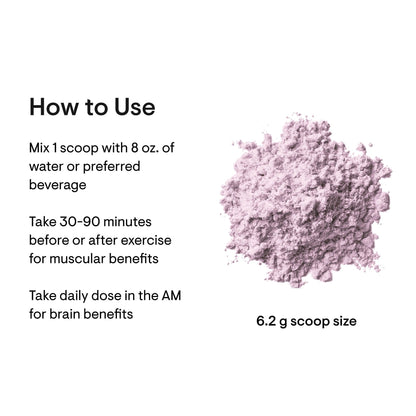 THORNE Creatine – Micronized Creatine Monohydrate Powder, Strawberry, 60 Servings | NSF Certified for Sport