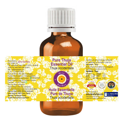 Deve Herbes Pure Thuja Essential Oil 10ml – Steam Distilled