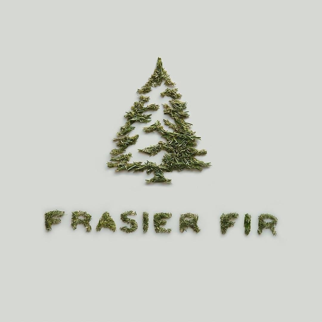Thymes Frasier Fir Candles - Silver Pine Needle Luminary, 20 oz | Statement Collection