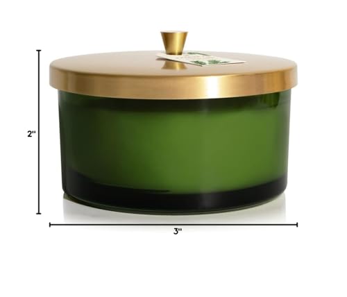 Thymes Frasier Fir Scented Candles – 4-Wick 21 oz | Luxury Home Fragrance Gift