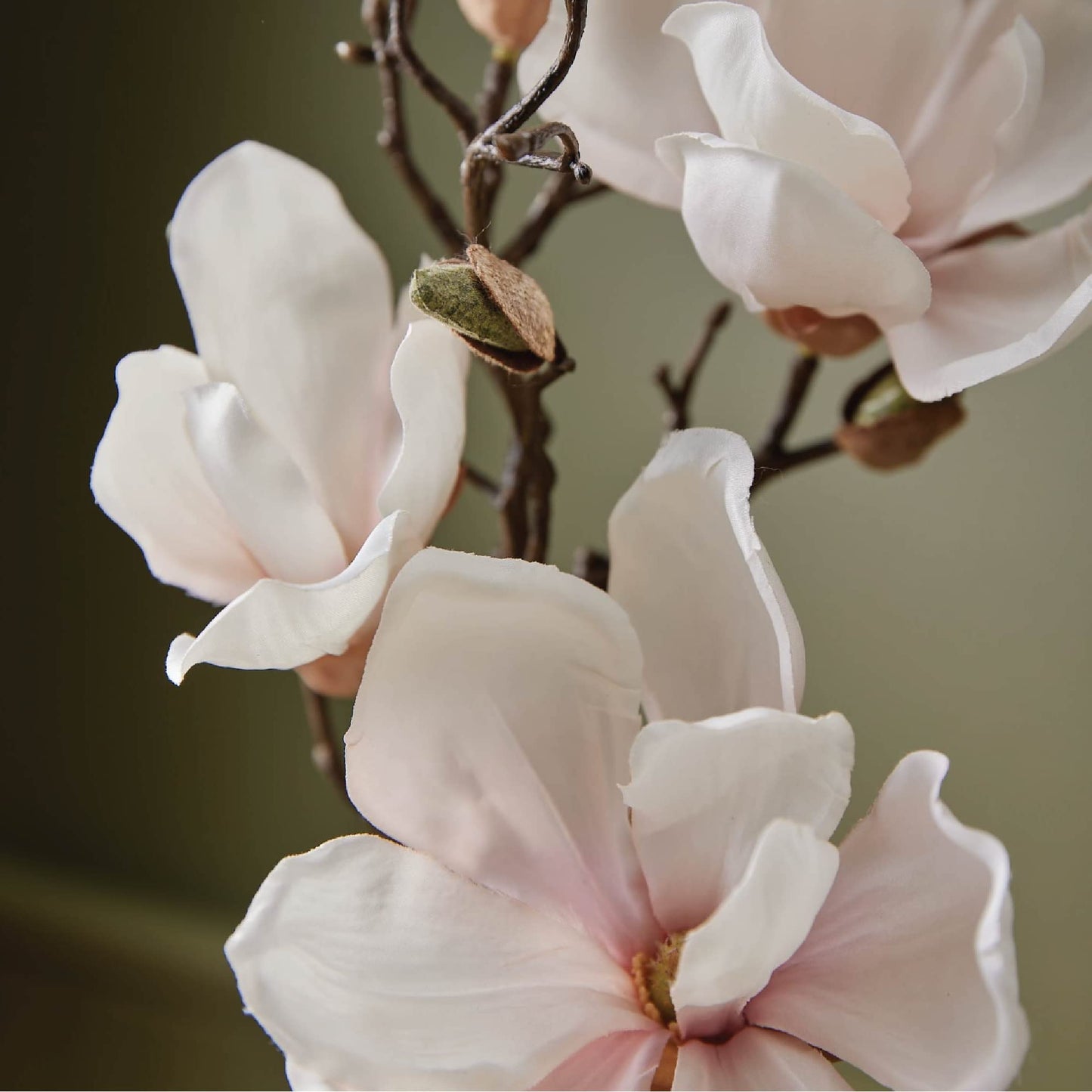 Thymes Magnolia Willow Fragrance Mist – 3.0 Oz | Home Fragrance