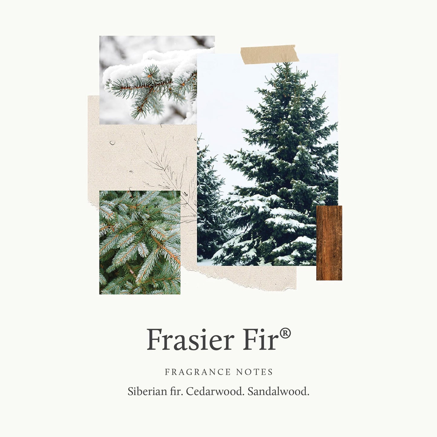 Thymes x Pura 4 Smart Diffuser Kit – Frasier Fir