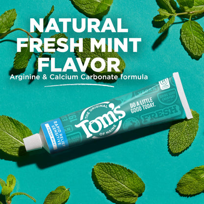 Tom's of Maine Fluoride-Free Rapid Relief Sensitive Toothpaste – Fresh Mint, 4 oz