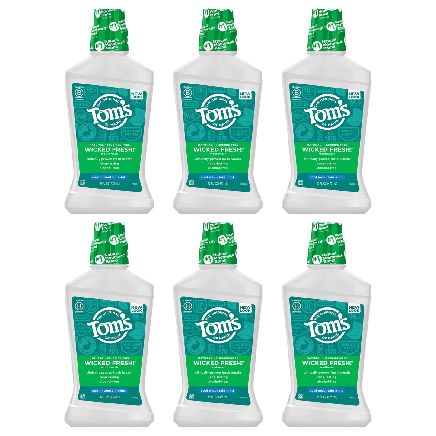 Tom's of Maine Wicked Fresh Natural Mouthwash – Alcohol-Free, Cool Mountain Mint, 16 oz (6-Pack) Packaging May Vary