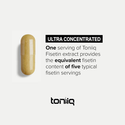Toniiq Ultra High Purity Fisetin 500mg | 98%+ Purified, MCT-Enhanced Absorption | 60 Capsules