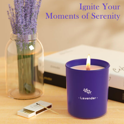 TranquilBliss Lavender Candles – 8 oz Soy Wax, Purple Jar, 4 Pack