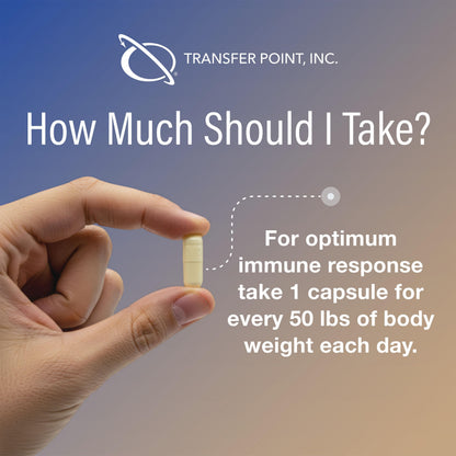 Transfer Point Immune Support Supplement – Highly Purified Beta Glucan 500 mg Capsule (Pack of 1)