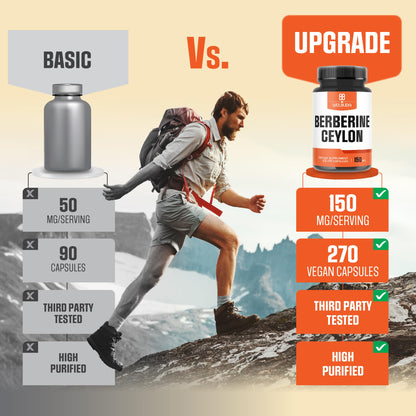Berberine Supplement with Ceylon Cinnamon – Circulatory Health & Wellness (270 Capsules)