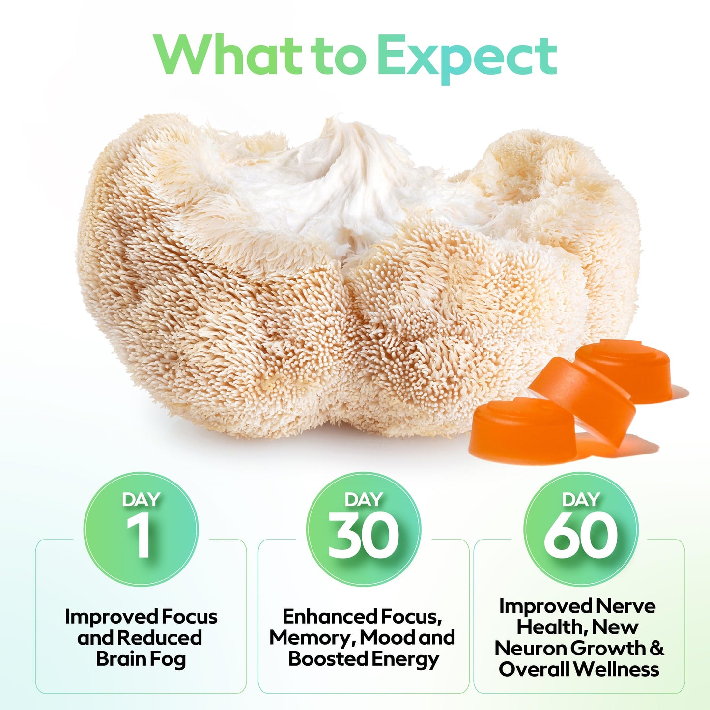 Troop Mushroom Lion's Mane Gummies for Focus & Mood | Vegan Peach Mango, 60 Count